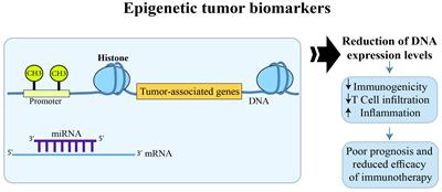 Editorial: Identifying clinically relevant transcriptional signatures and methylation profiles in the course, treatment and outcome of colorectal cancer